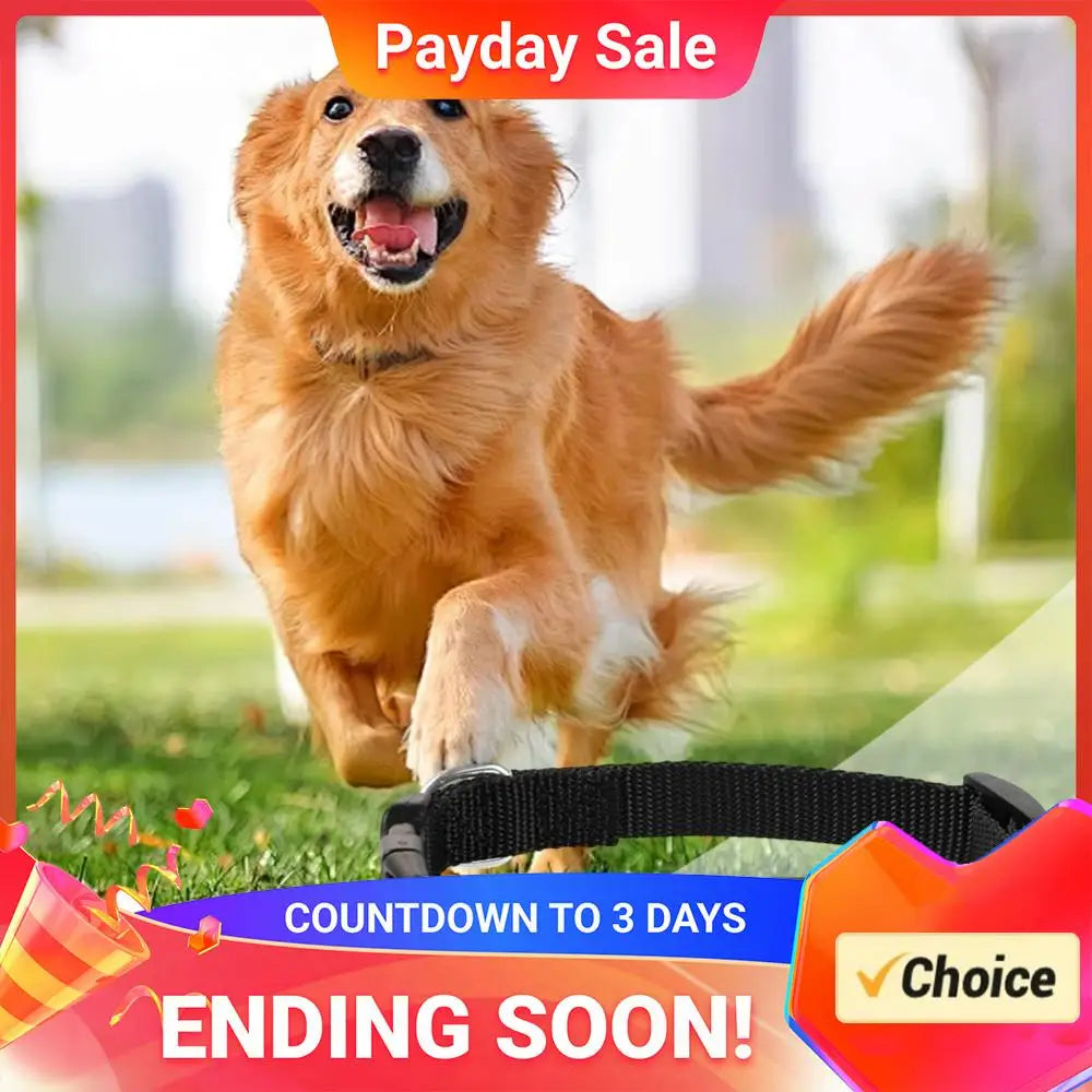 Pet Tracker with Adjustable Collar