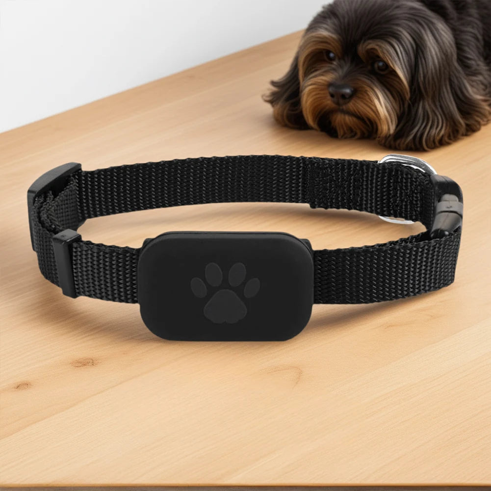 Pet Tracker with Adjustable Collar