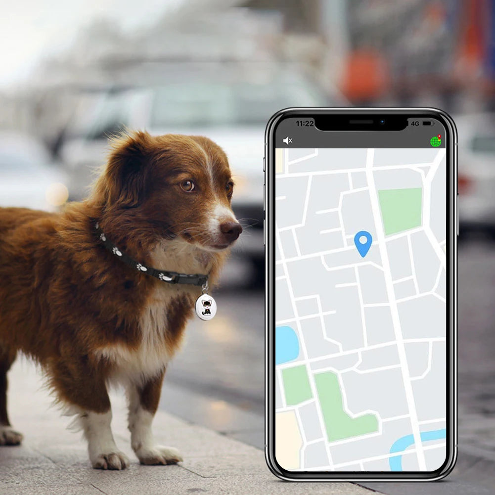 GPS Pet Tracker